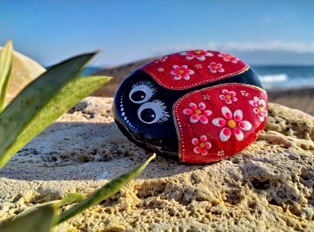 colorful ladybug painted on rock